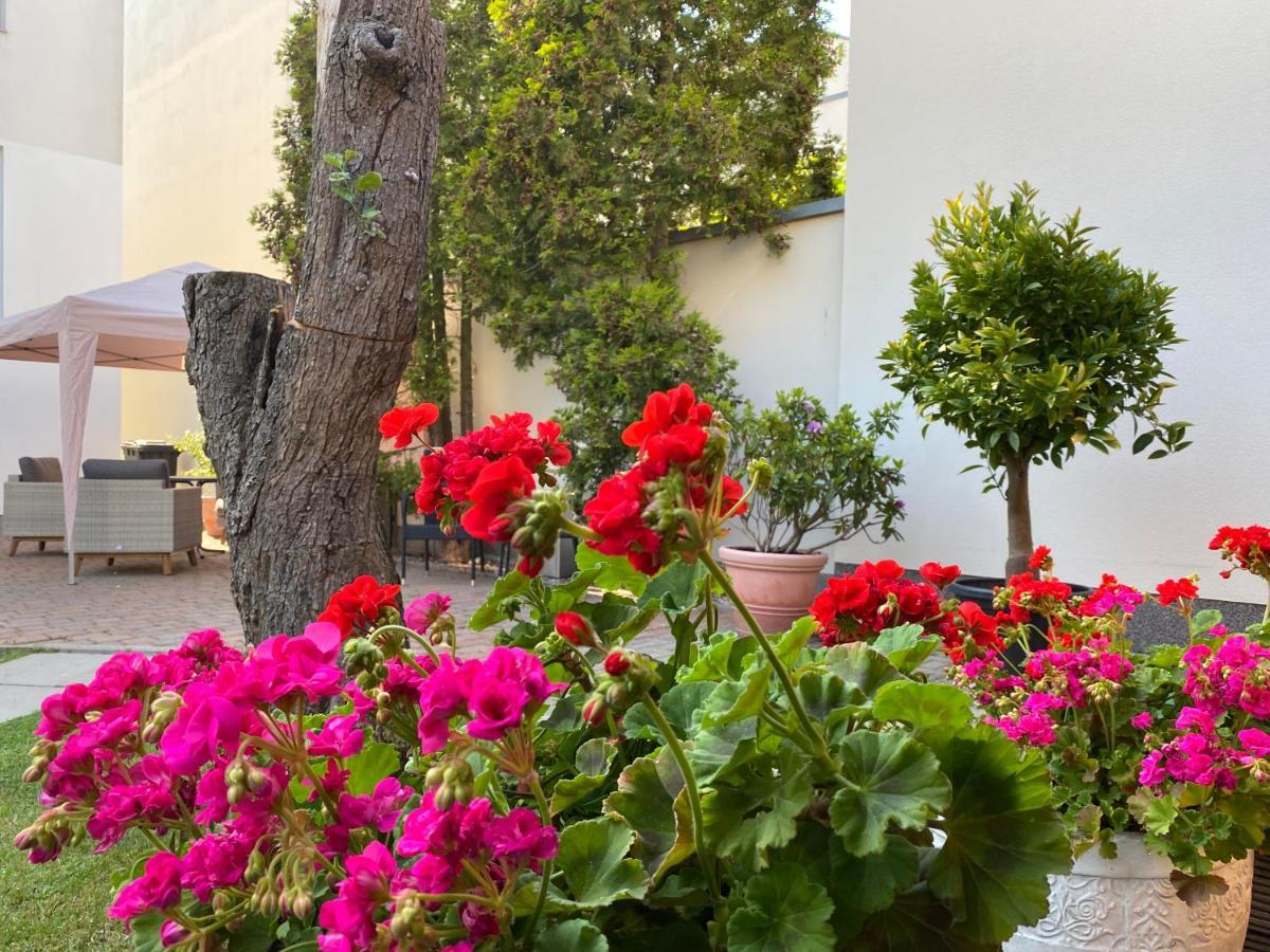 Pension Villa Ostseetraum ロストック エクステリア 写真